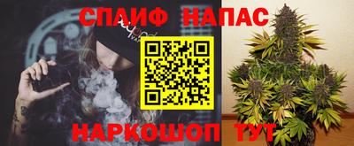 гидропоника Краснознаменск