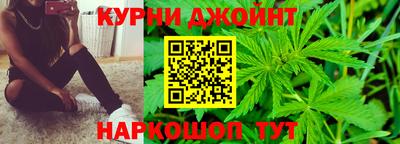 гидропоника Краснознаменск