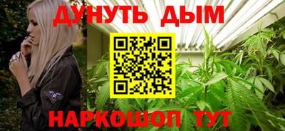гидропоника Краснознаменск