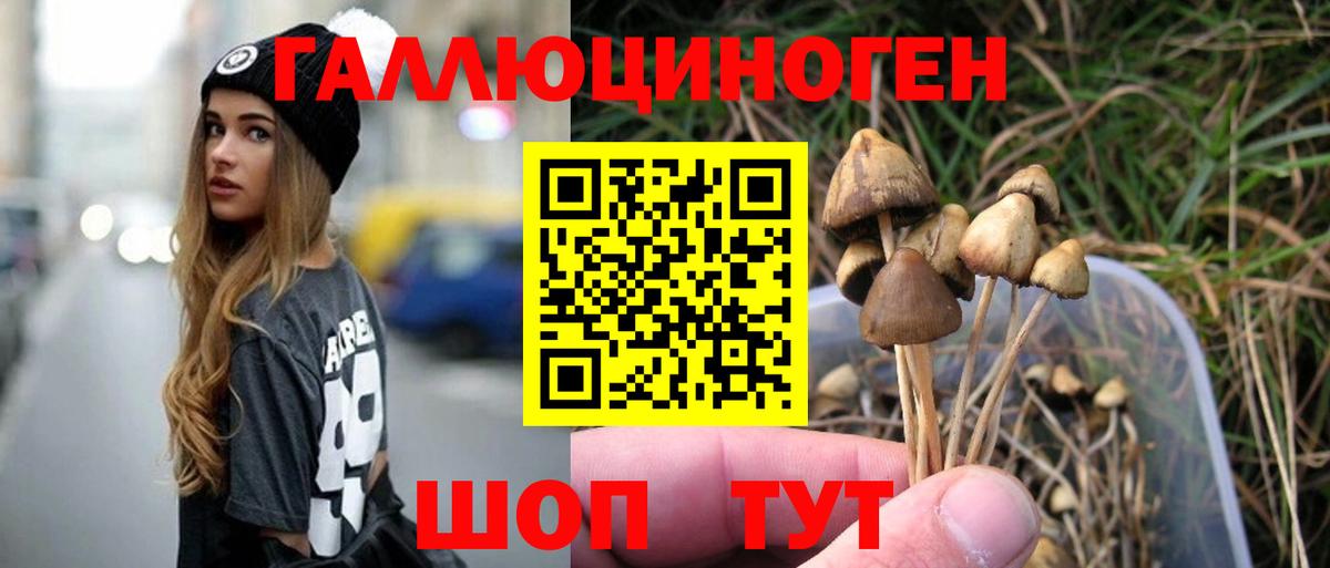 Галлюциногенные грибы Psilocybe  Галлюциногенные грибы Psilocybine cubensis  дарнет шоп  Вход с VPN  Железноводск 